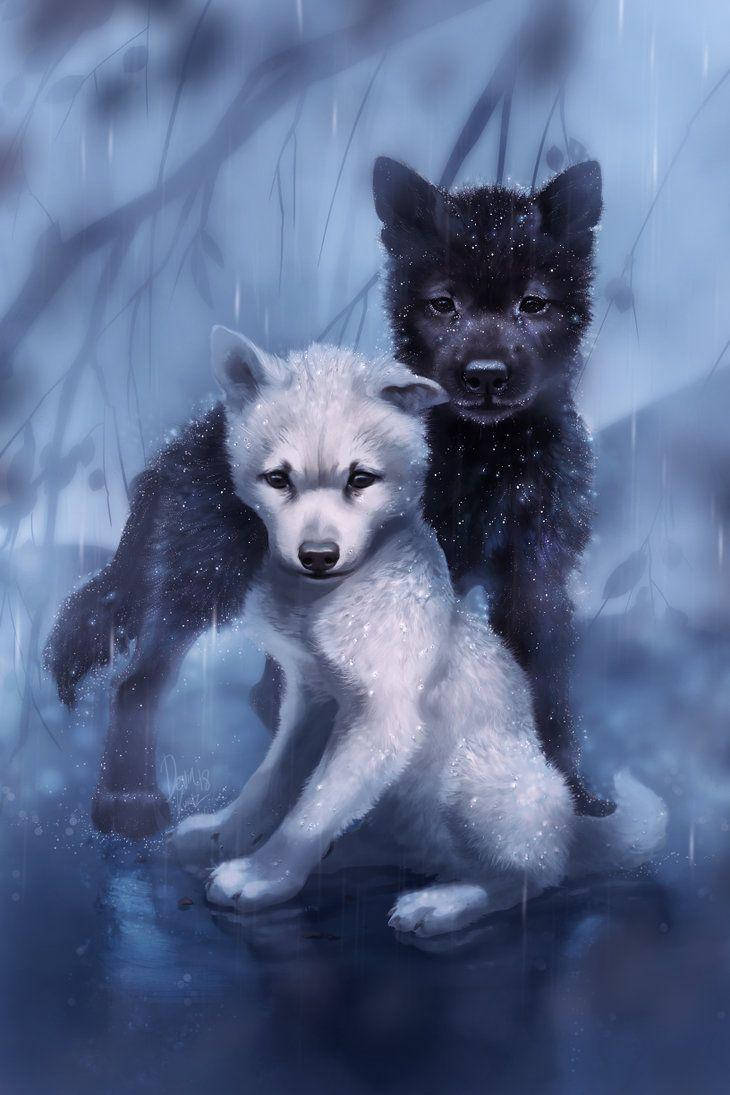 Cool Black Wolf And White Wolf Pups In Rain Wallpaper