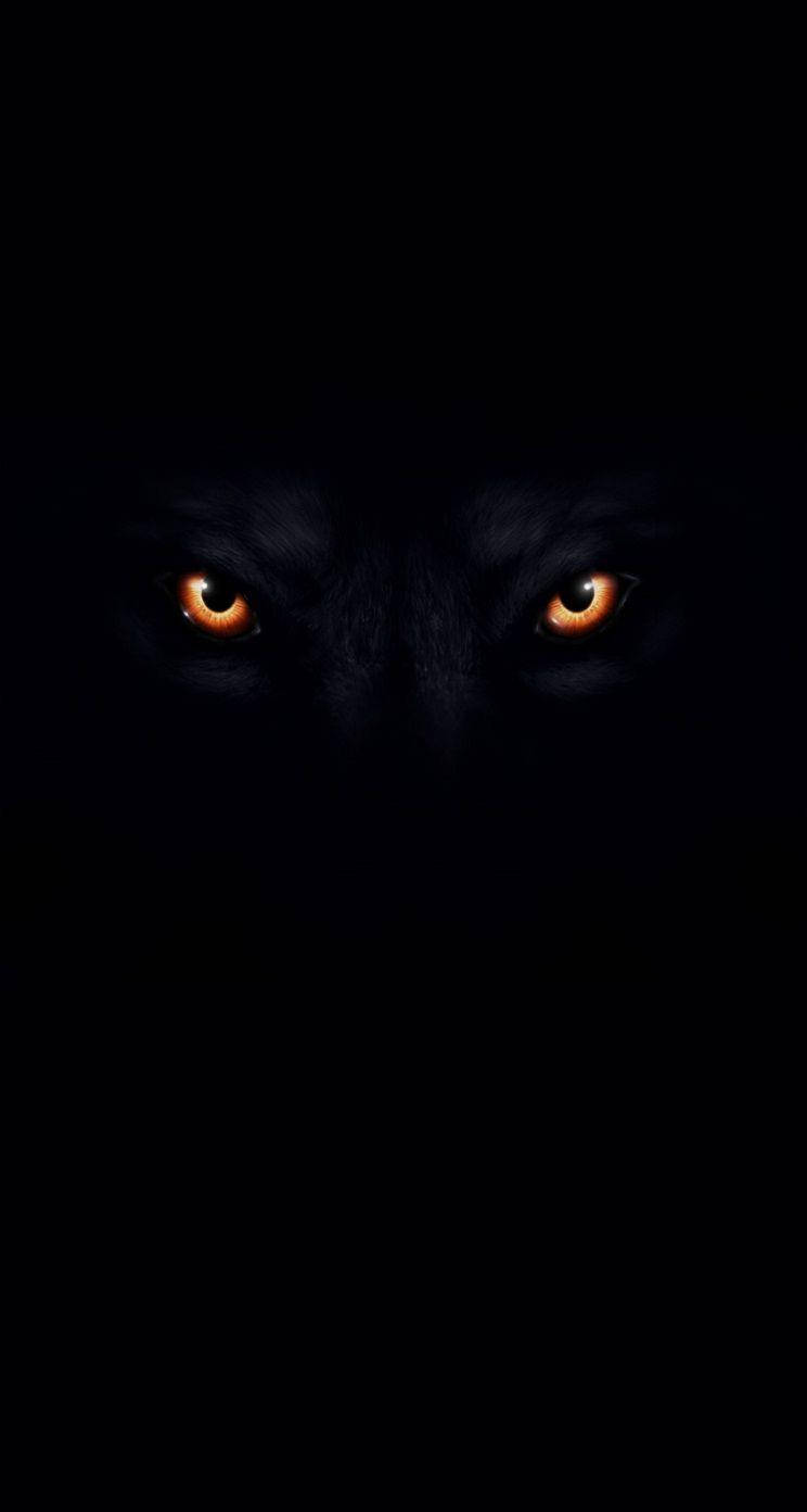 Cool Black Wolf Eyes Wallpaper