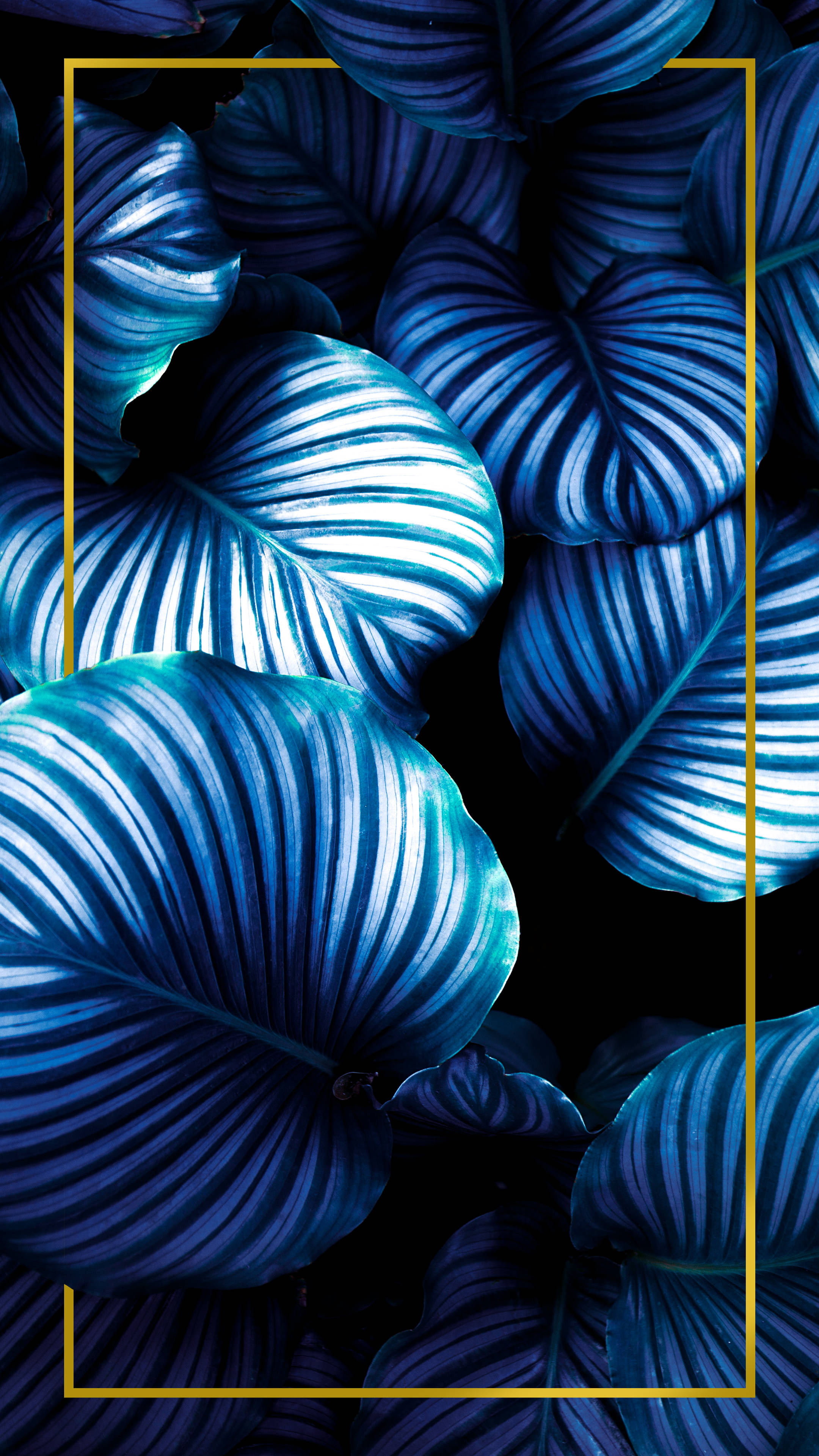 Cool Blue Aesthetic Minimalist Plant Wallpaper