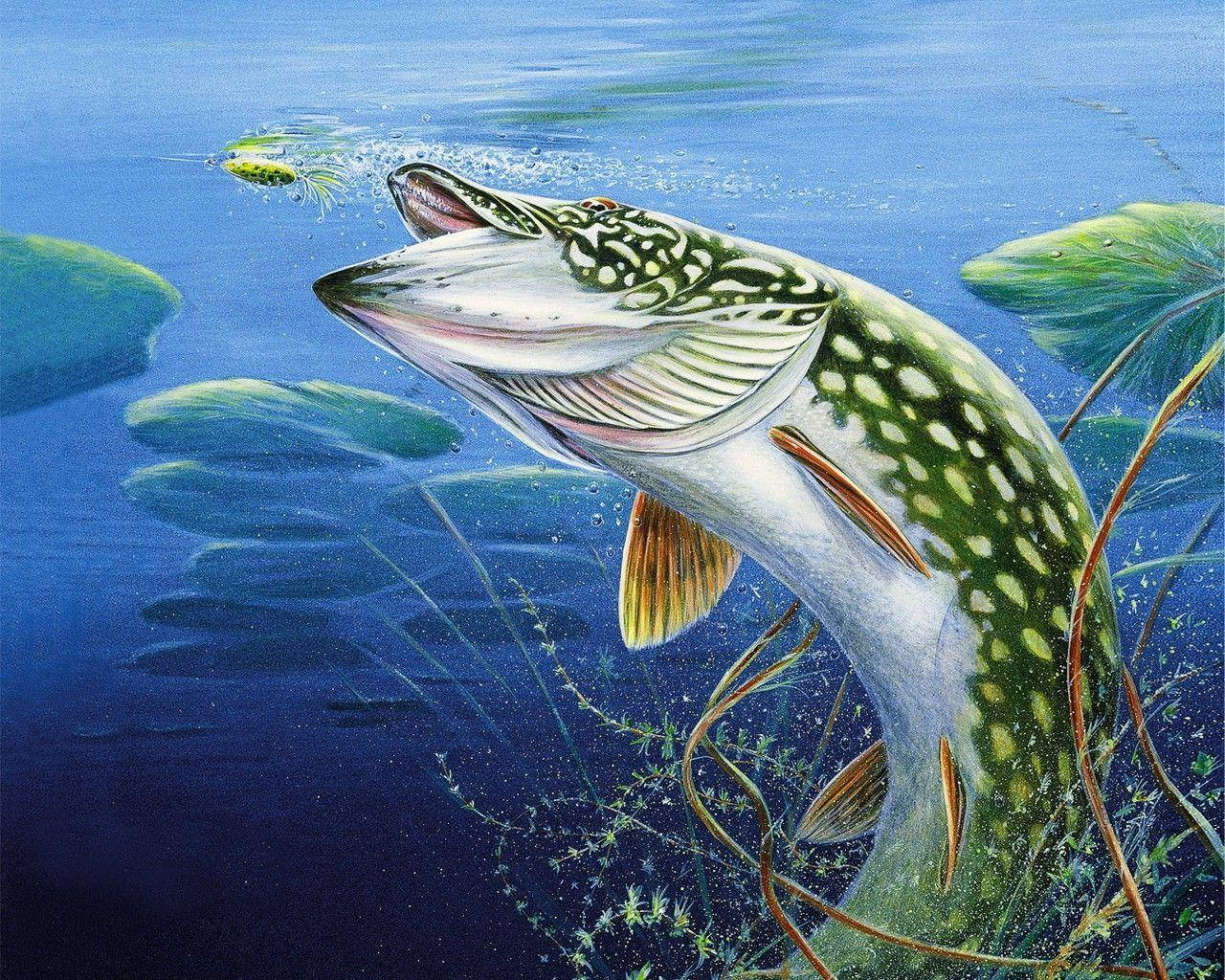 Cool Fish Painting Wallpaper