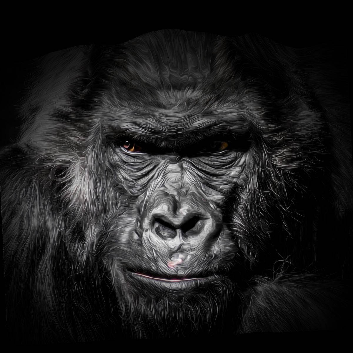 Cool Gorilla Chillin' Wallpaper