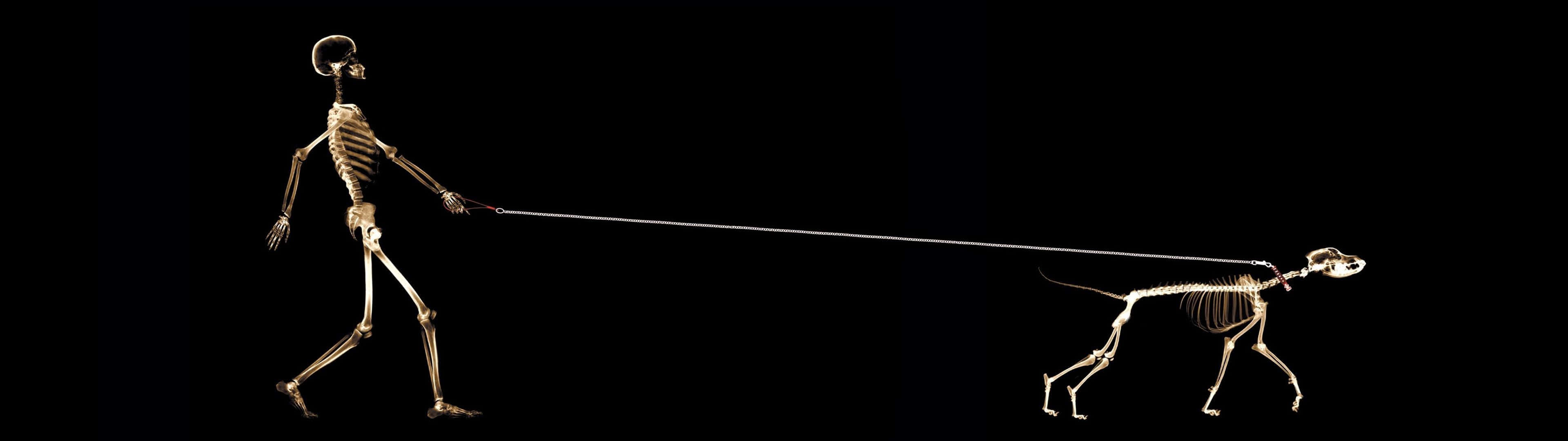 Cool Monitor Skeleton Man Wallpaper