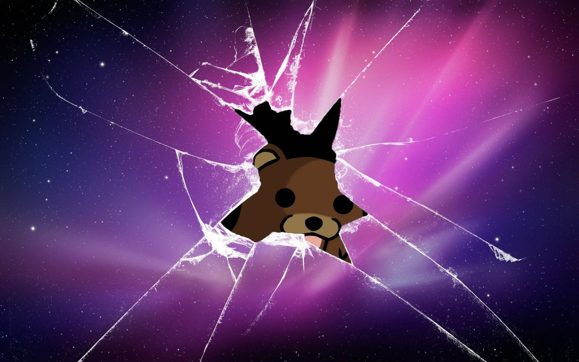 Cool Pfp Bear Peeking Behind Broken Glass Wallpaper