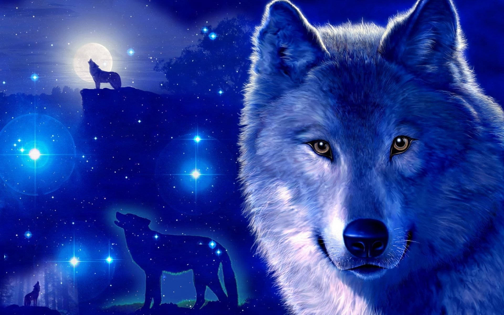 Cool Sparkly Blue Night Galaxy Wolf Wallpaper