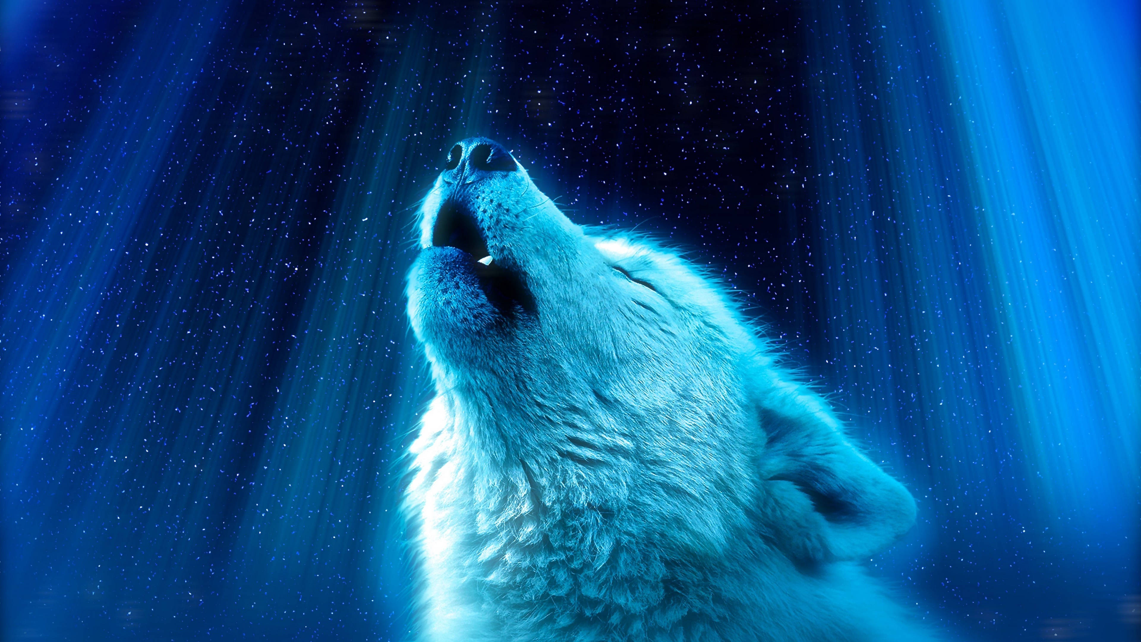Cool Starry Galaxy Night Howling Wolf Wallpaper