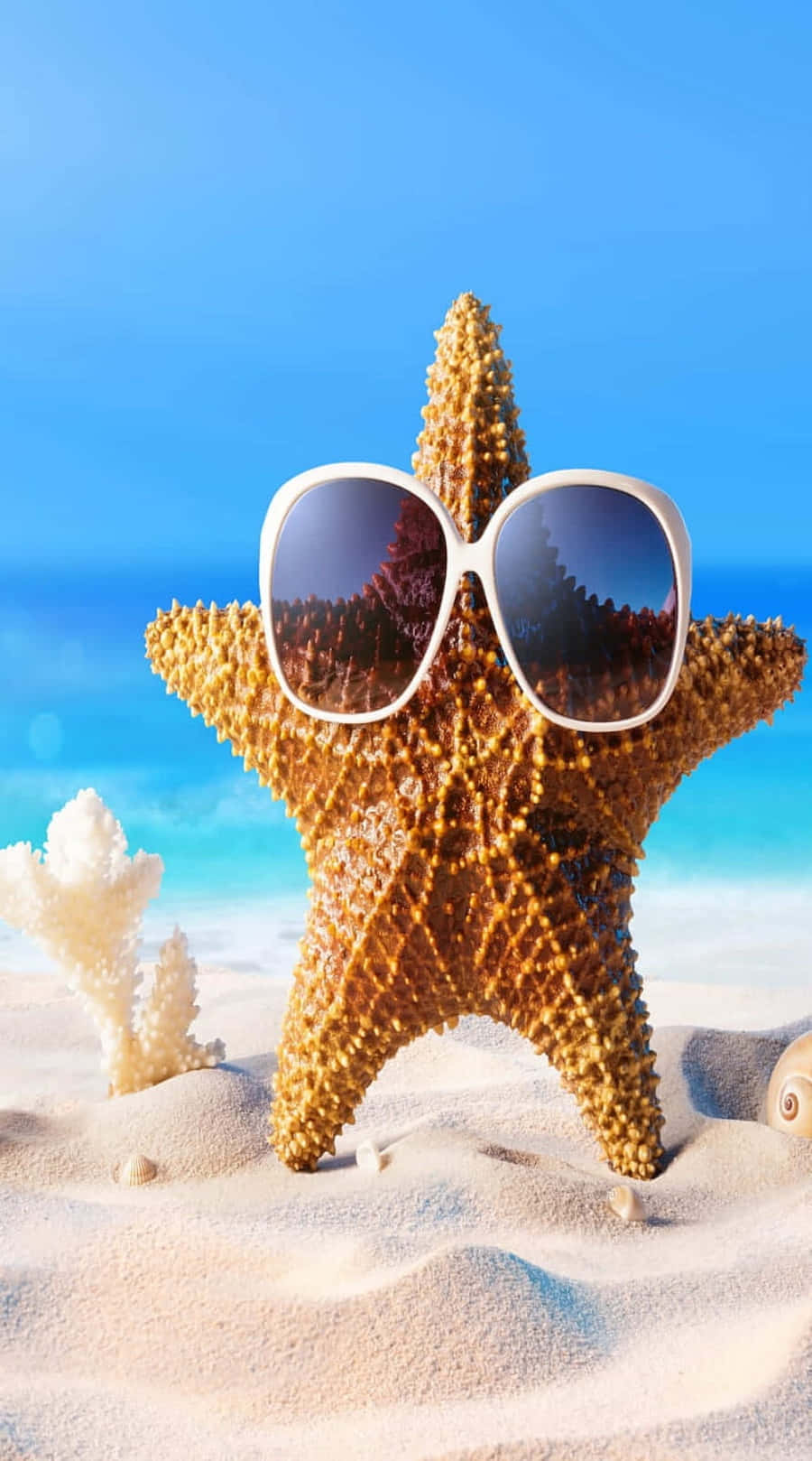Cool Summer Starfish With Sunnies Wallpaper