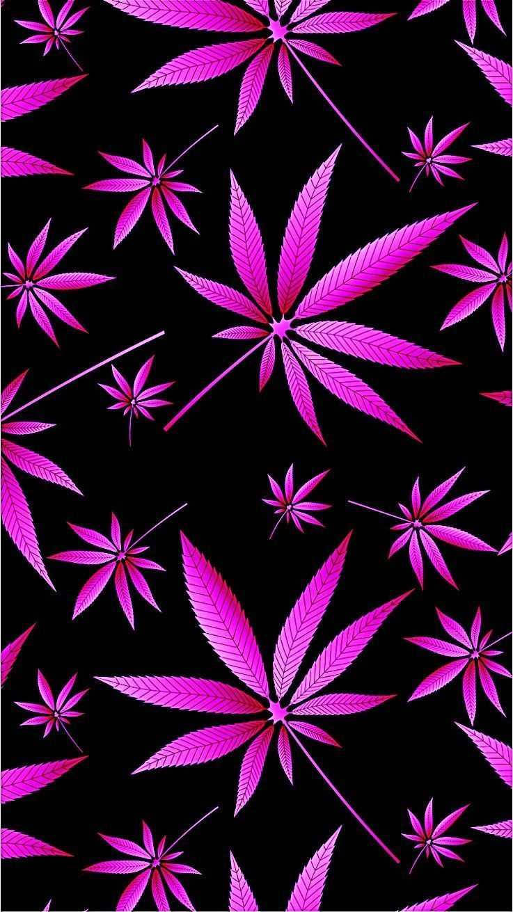 Cool Weed Pink Leaves Wallpaper