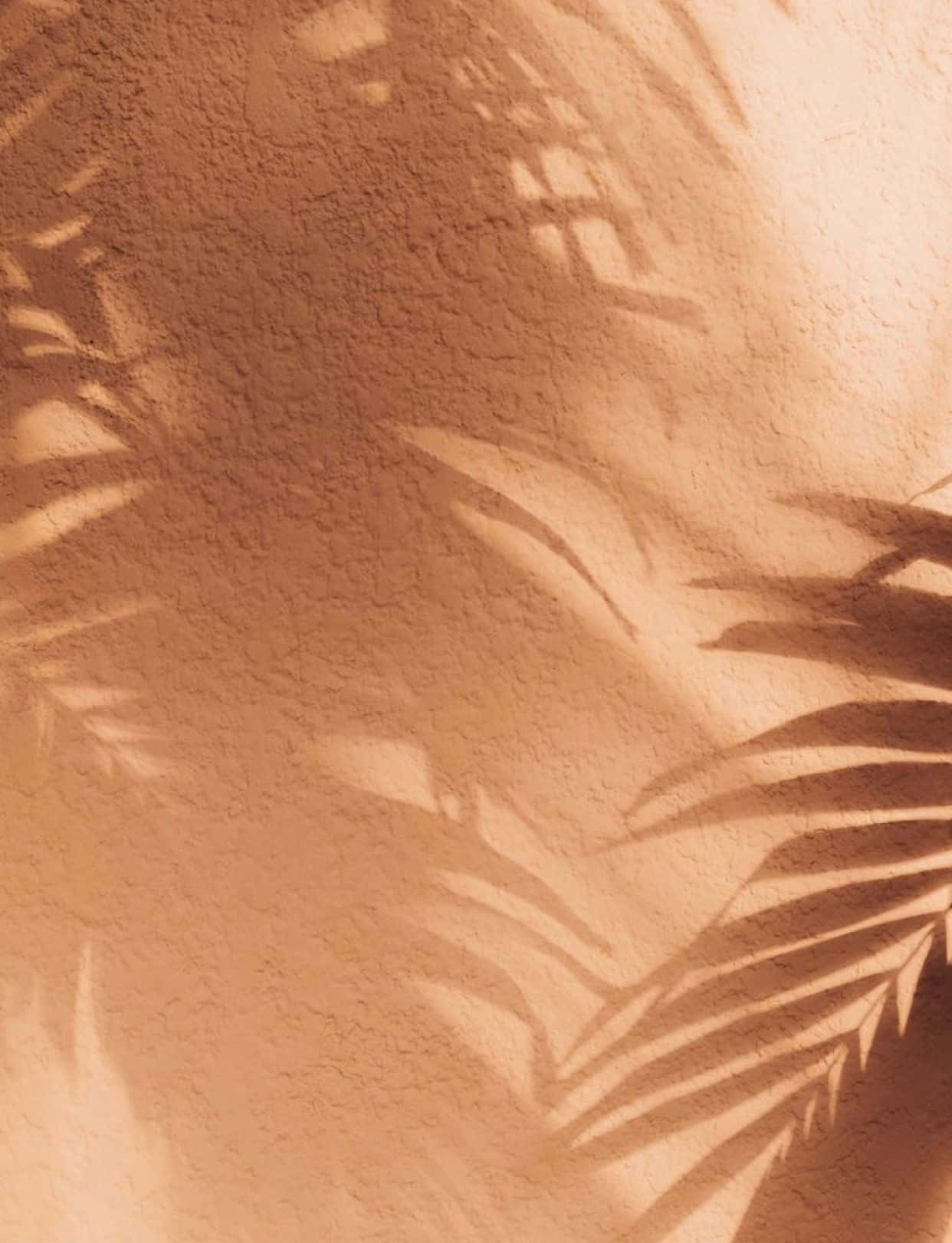 Cozy Neutral Colors Wallpaper