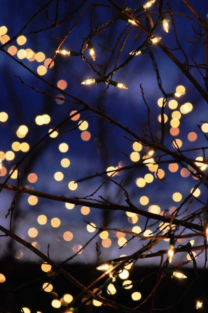 Cozy Winter Light Tumblr Wallpaper