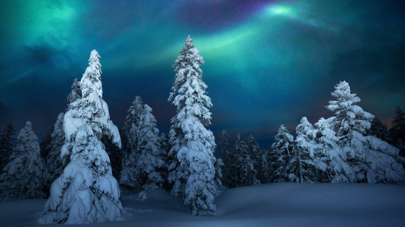 Cozy Winter Night Wallpaper