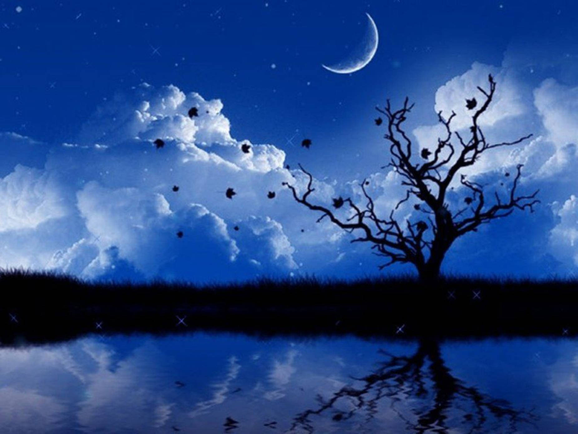 Crescent Moon And Tree Silhouette 3d Animation Wallpaper