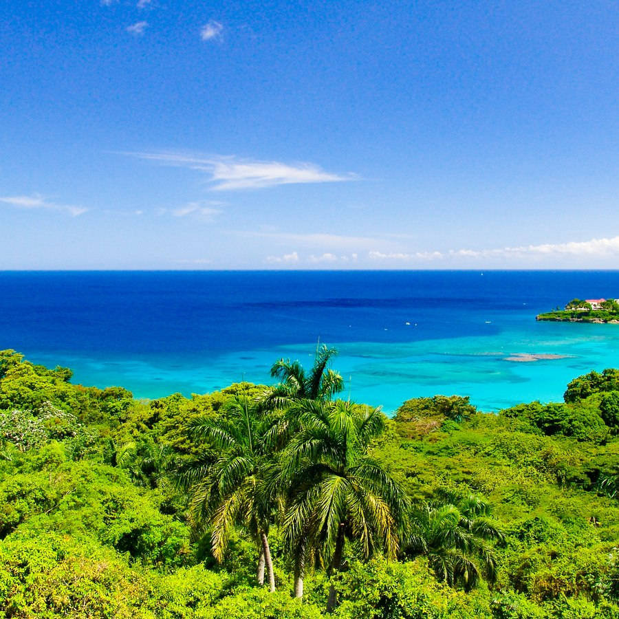 Crystal Clear Waters In Sint Maarten Wallpaper