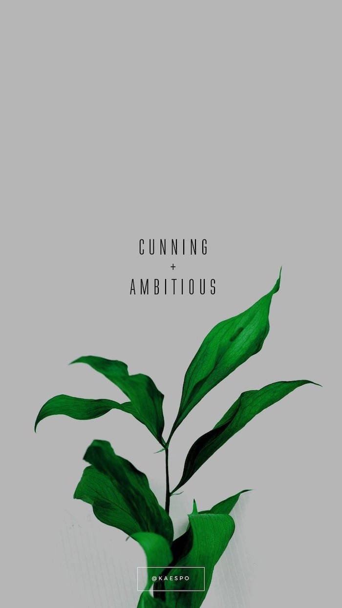 Cunning And Ambitious Green And White Aesthetic Wallpaper