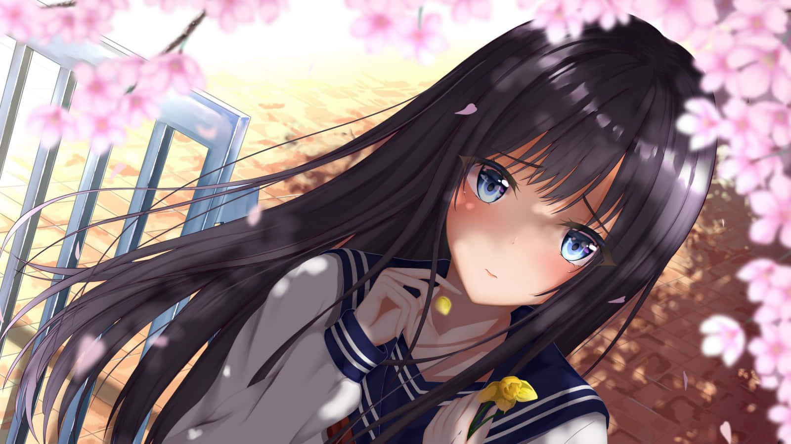 Cute Anime School Girl Cherry Blossoms Wallpaper