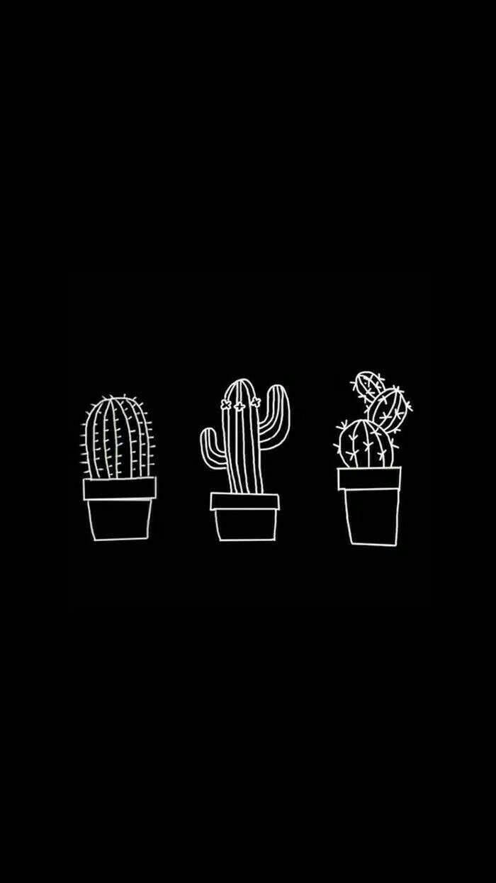 Cute Black And White Aesthetic Cactus Drawings Wallpaper