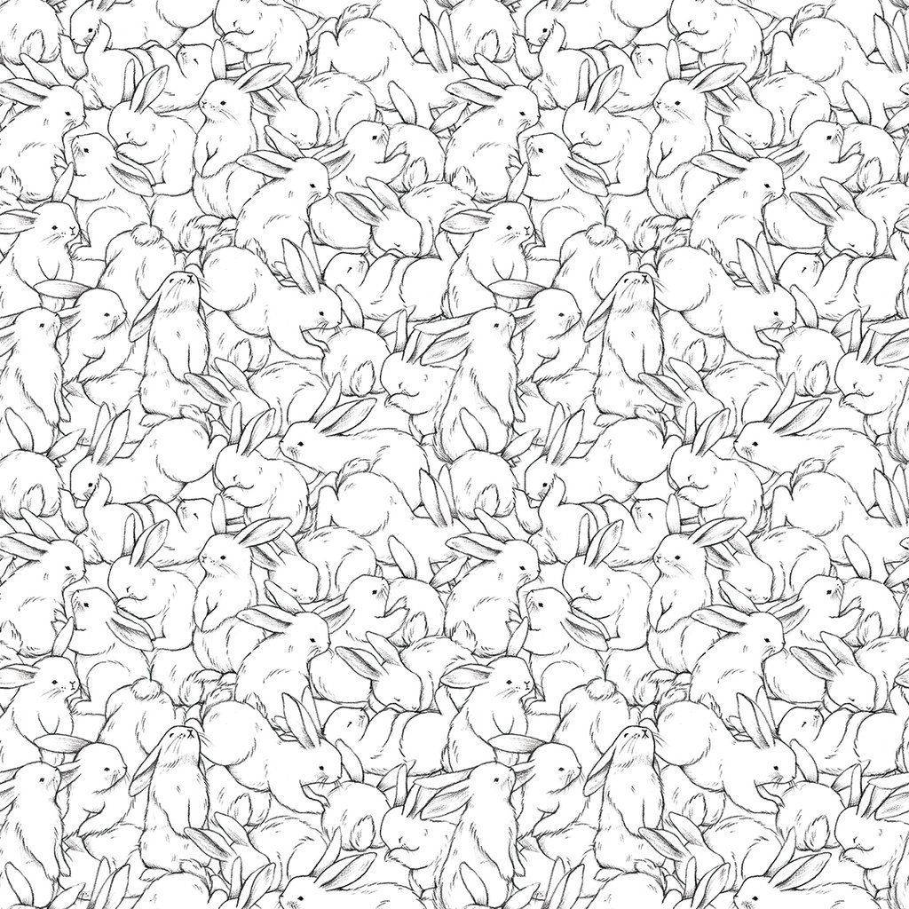 Cute Bunny Line Drawings Wallpaper