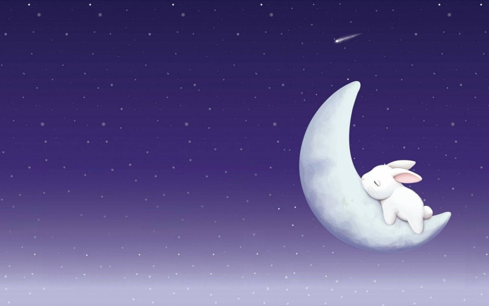 Cute Bunny Sleeping On Moon Wallpaper
