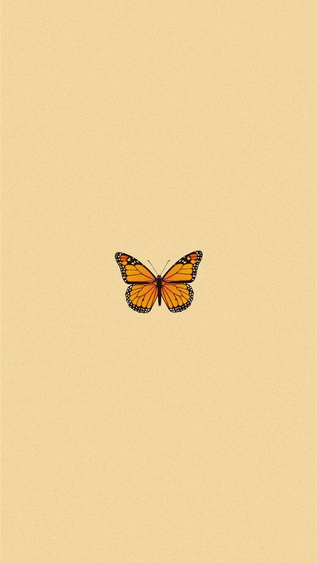 Cute Butterfly Original Iphone 4 Wallpaper