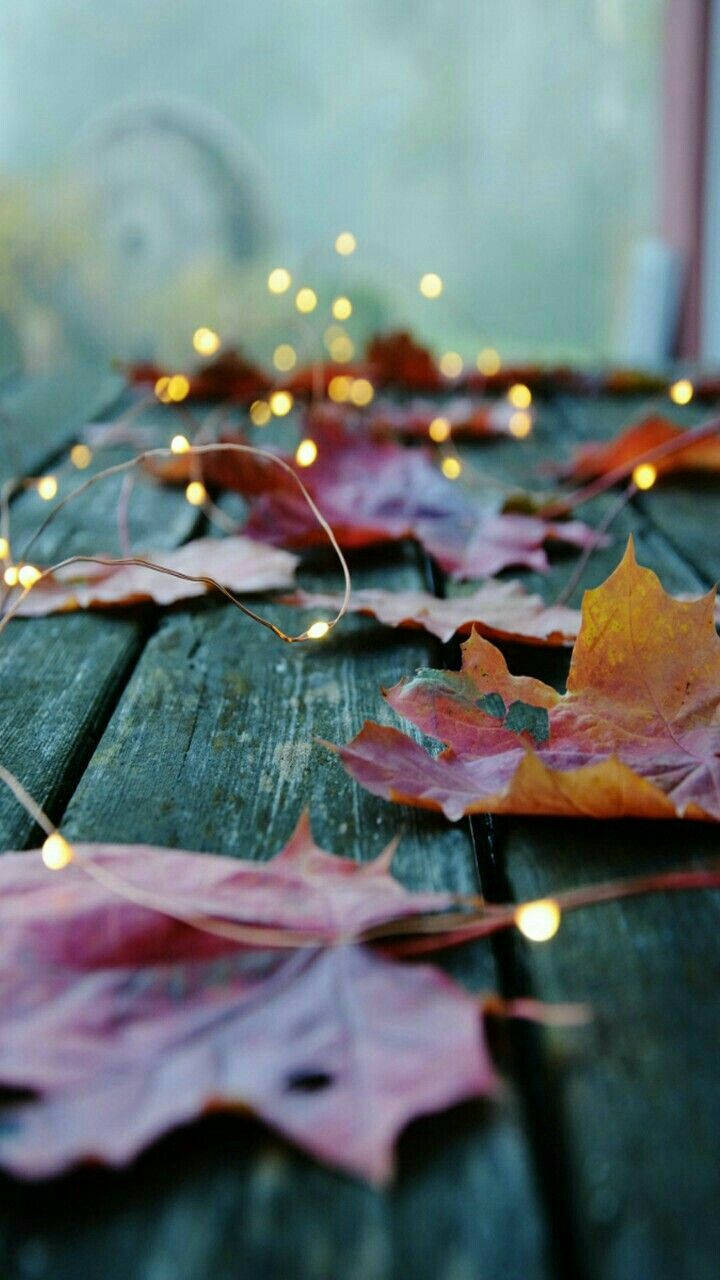 Cute Fall Phone Fairy Lights Wallpaper