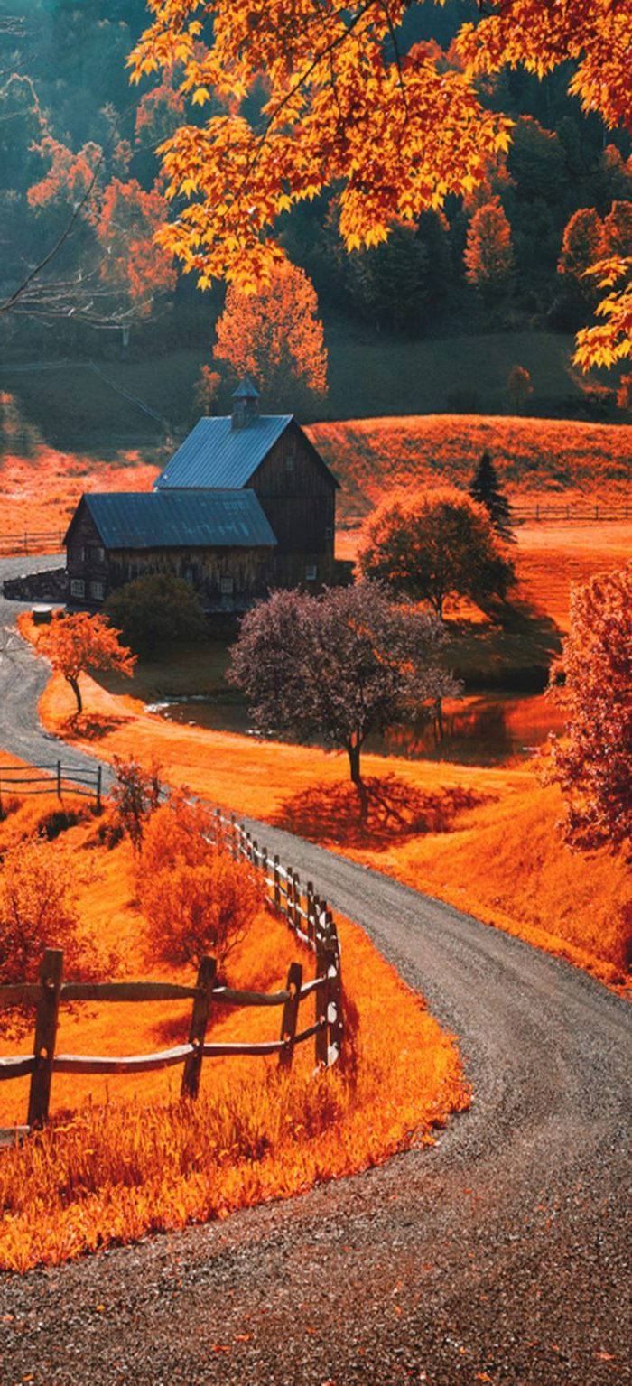 Cute Fall Phone Small Road Wallpaper