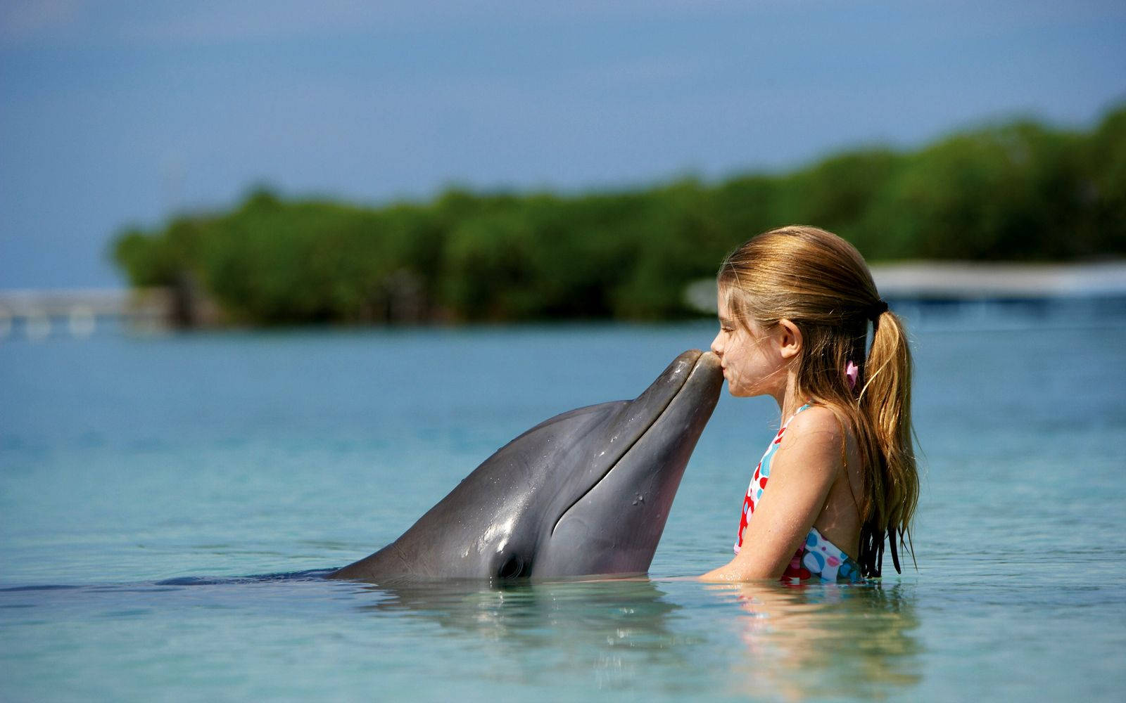 Cute Girl And Dolphin Wallpaper