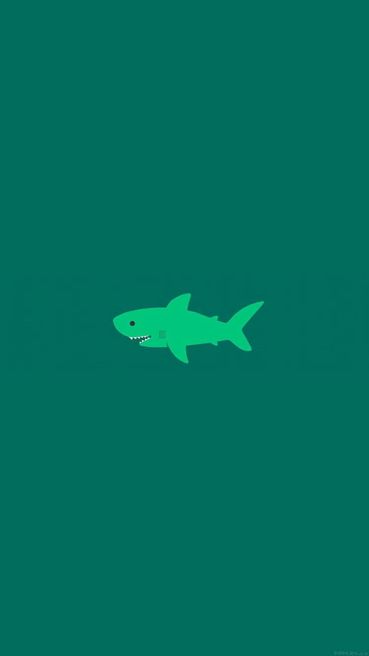 Cute Green Shark Wallpaper