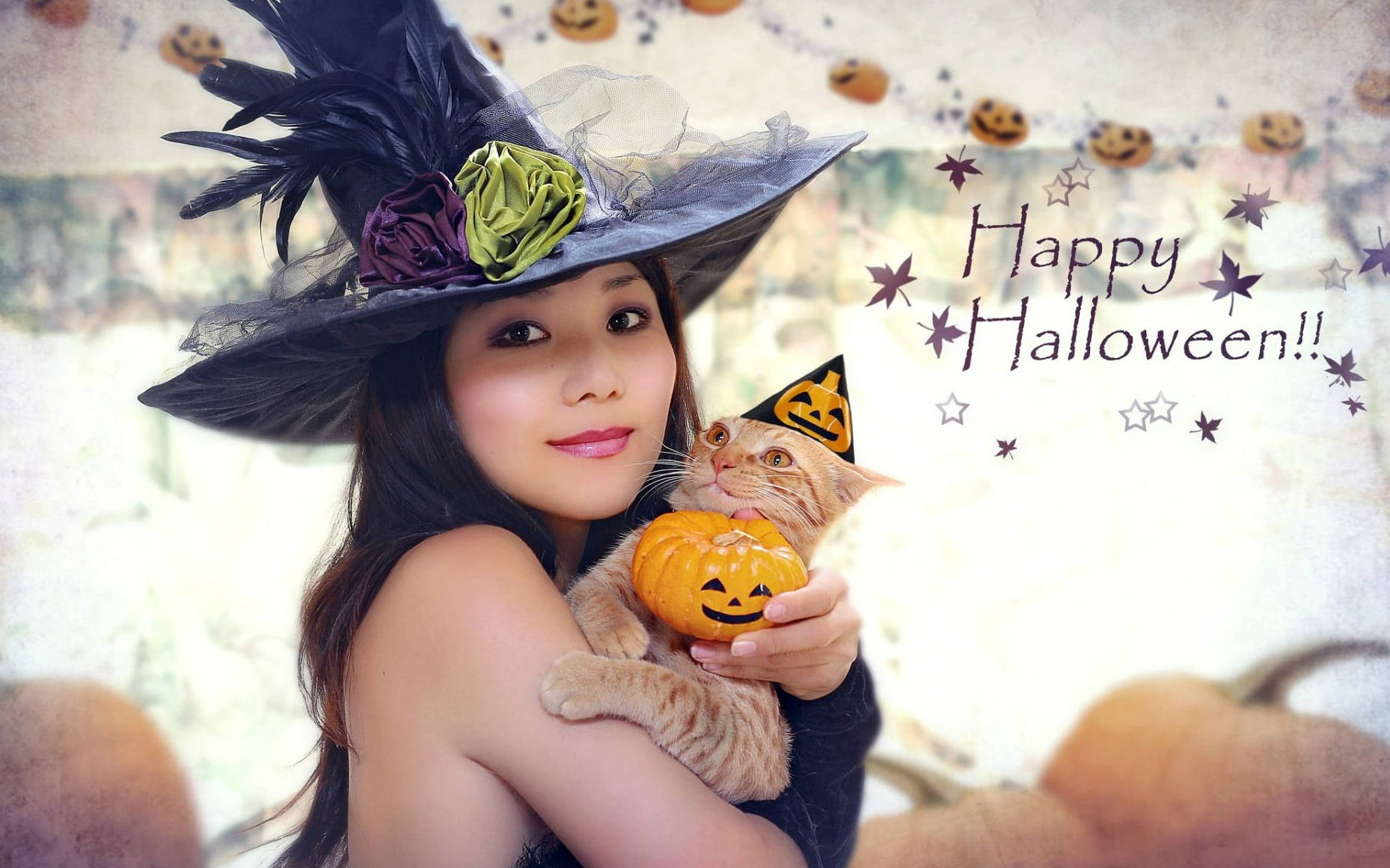 Cute Halloween Witch With Cat Wallpaper