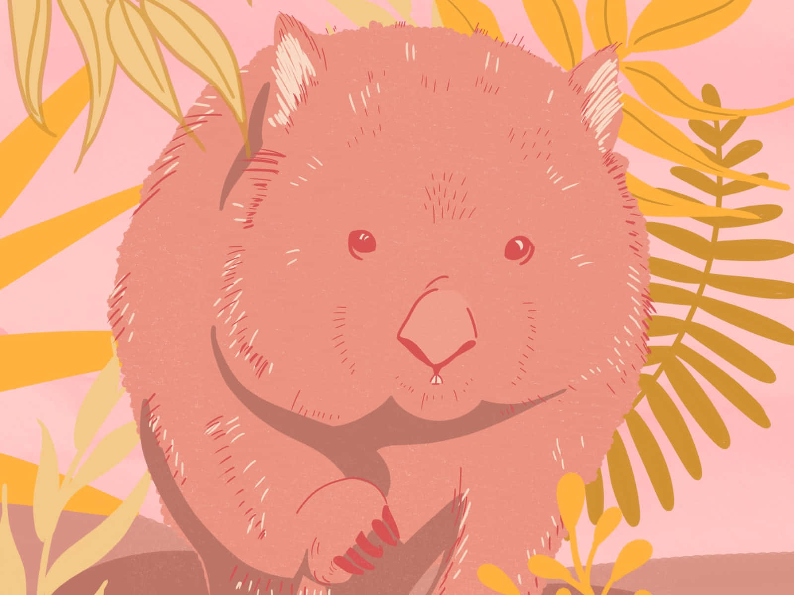 Cute Illustrated Wombat Wallpaper