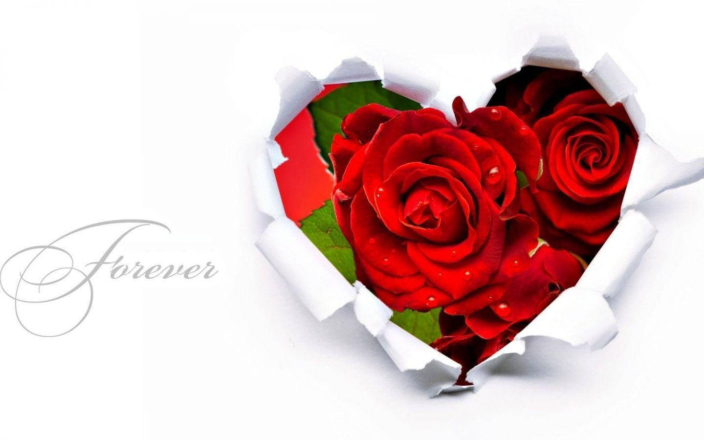 Cute Red Heart Rose Flowers Wallpaper