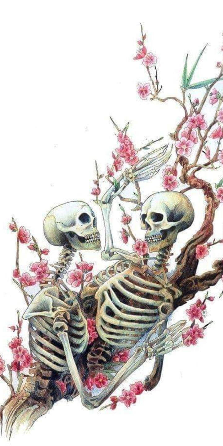 Cute Skeleton Iphone Couple Wallpaper