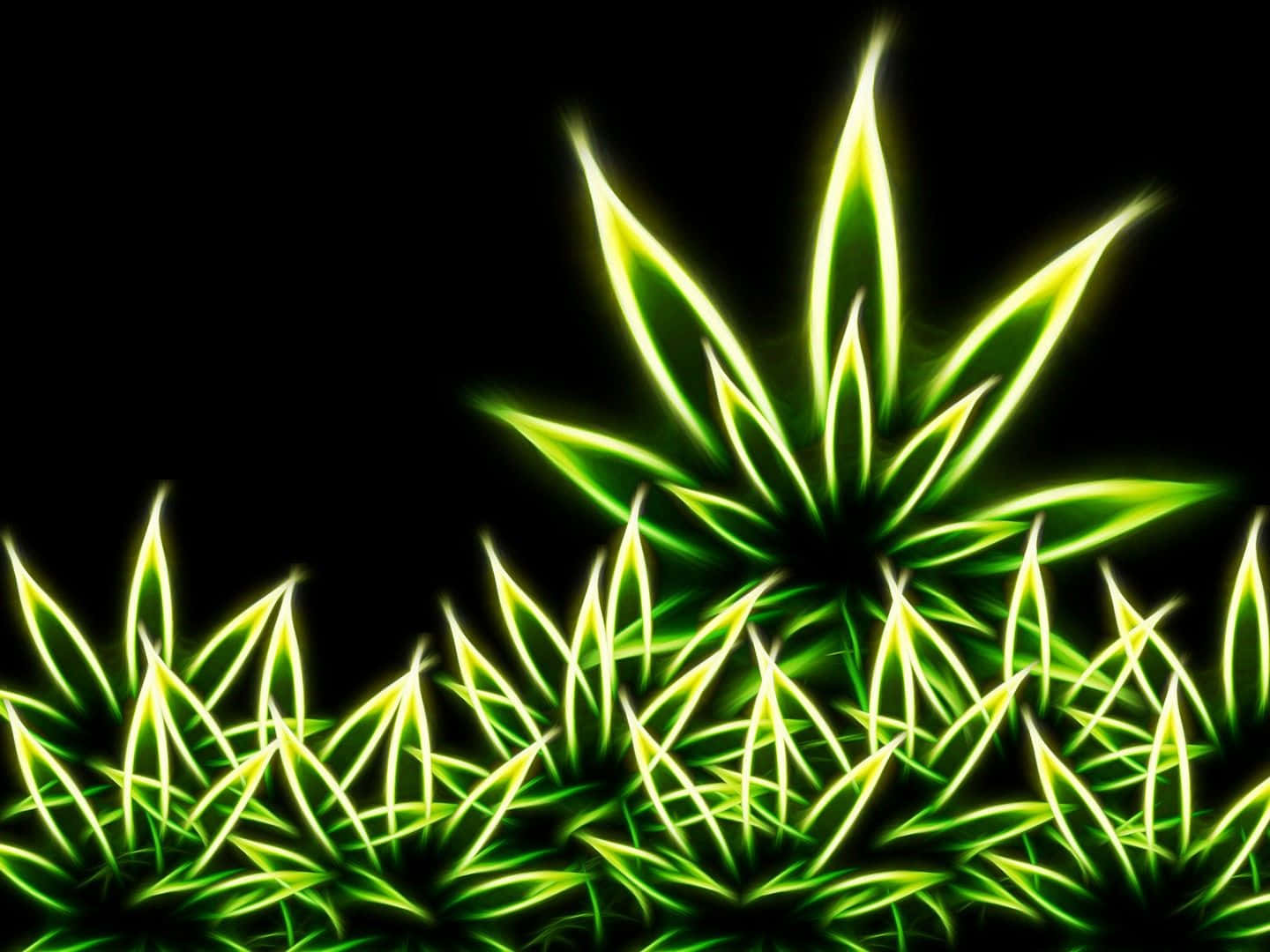 Cute Stoner Iphone Screensaver Theme Wallpaper