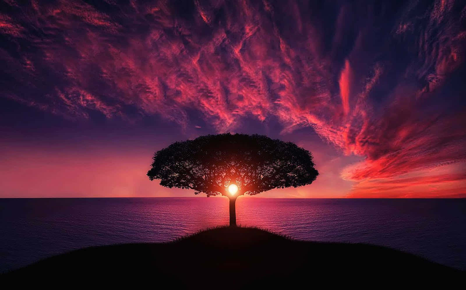 Cute Tree Silhouette At Sunset Wallpaper