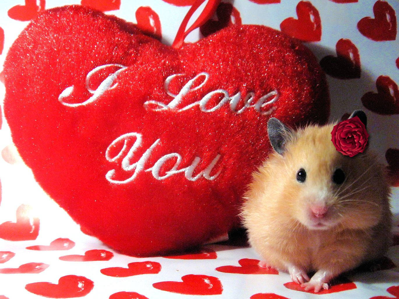 Cute Valentine's Day Hamster Heart Wallpaper