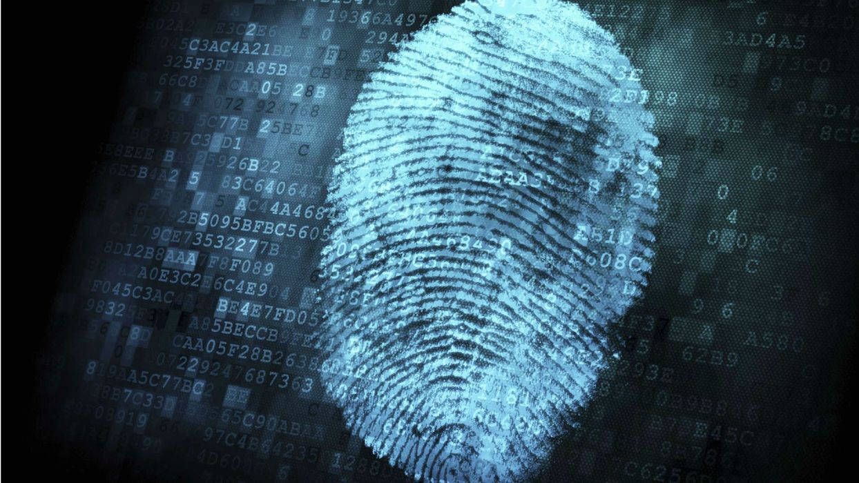 Cyber Digital Fingerprint Wallpaper