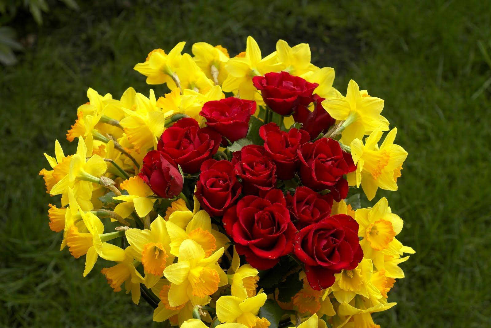 Daffodil And Rose Flowers Wallpaper