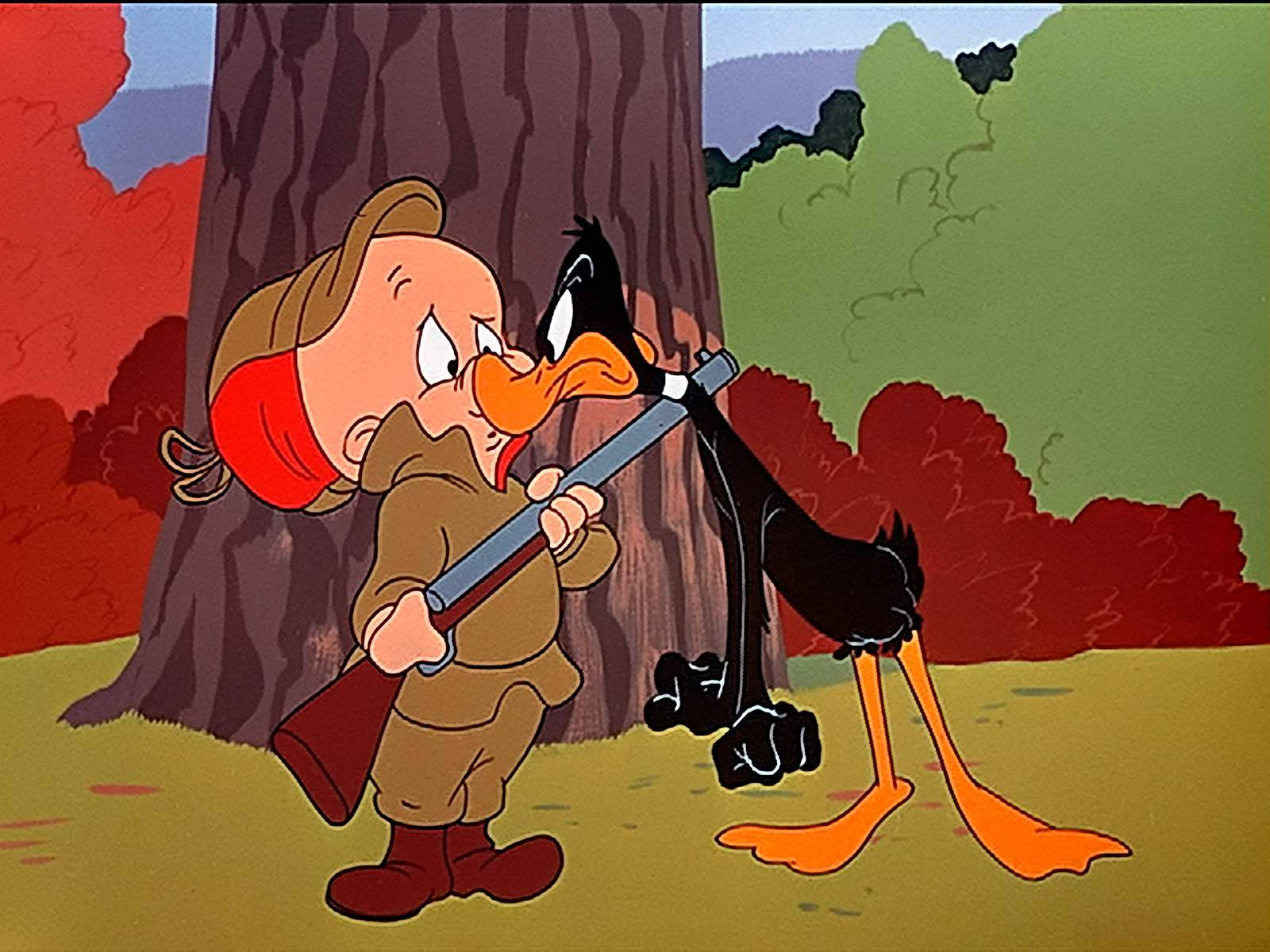 Daffy Duck Angry At Elmer Fudd Wallpaper