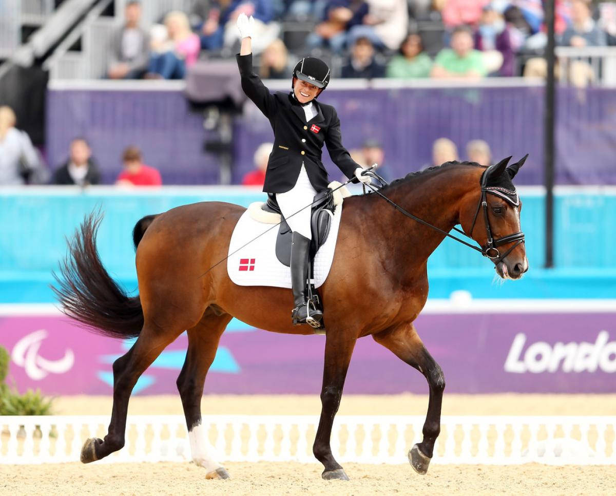 Danish Equestrian Line Jorgensen London 2012 Paralympic Games Wallpaper