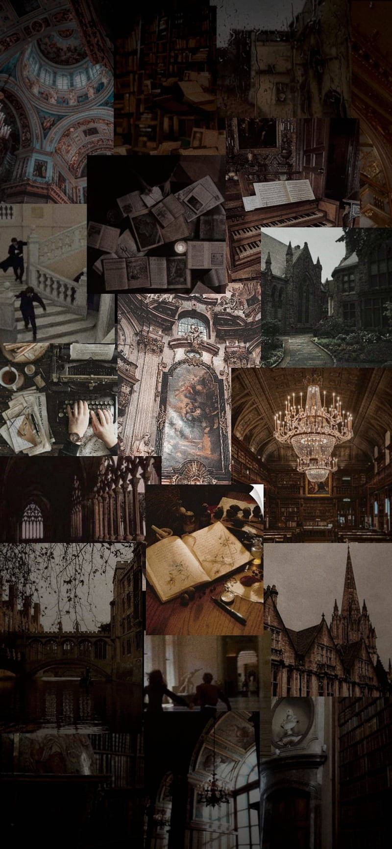 Dark Academia Aesthetic Domes And Libraries Wallpaper