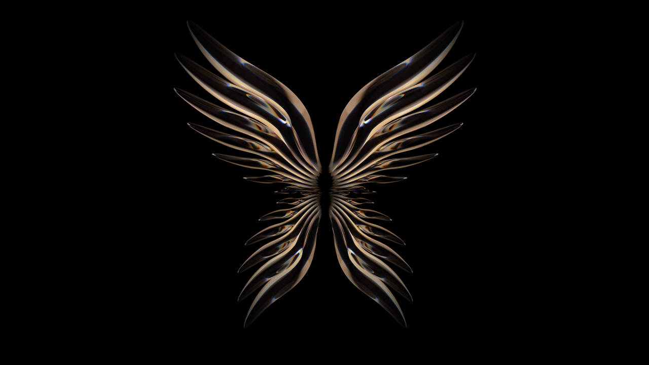 Dark Angel Wings Pc Wallpaper