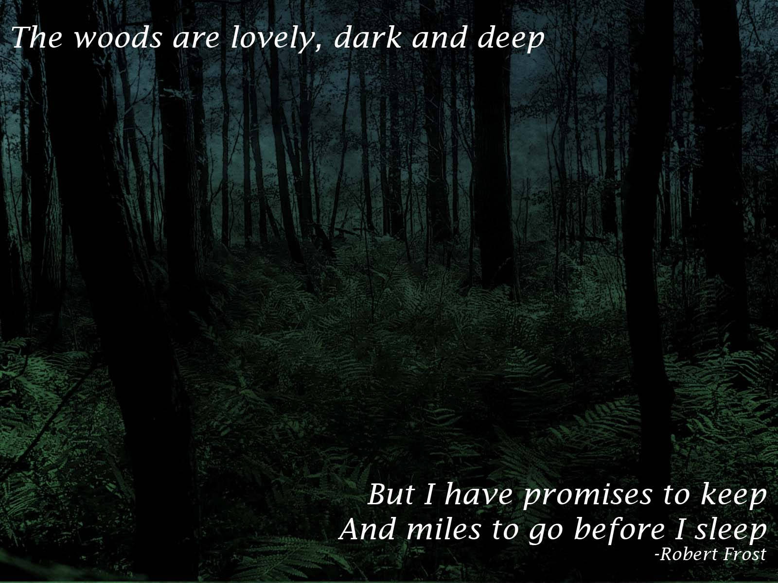Dark Forest Woods With Quote Wallpaper