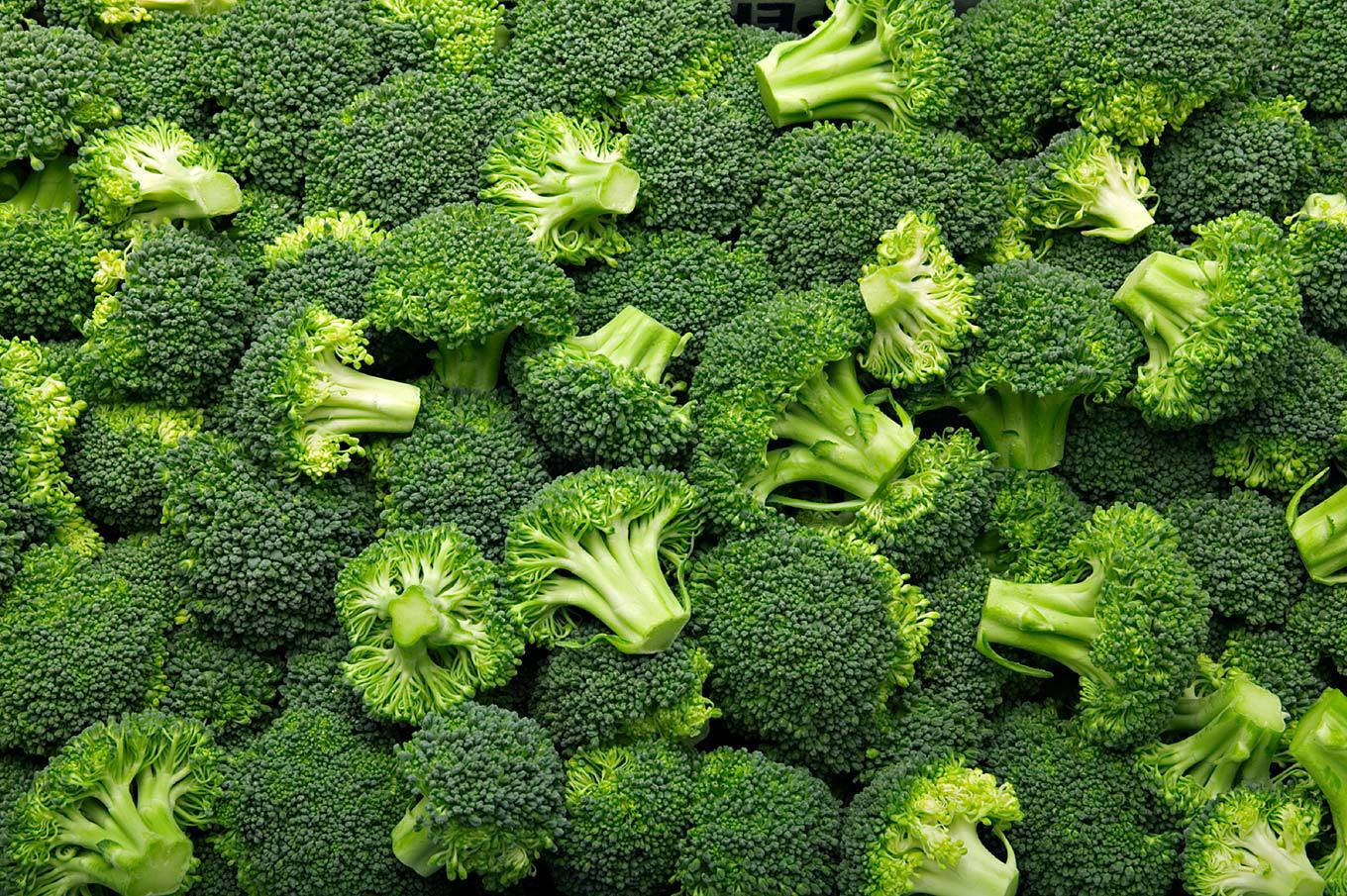 Dark Green Broccoli Wallpaper