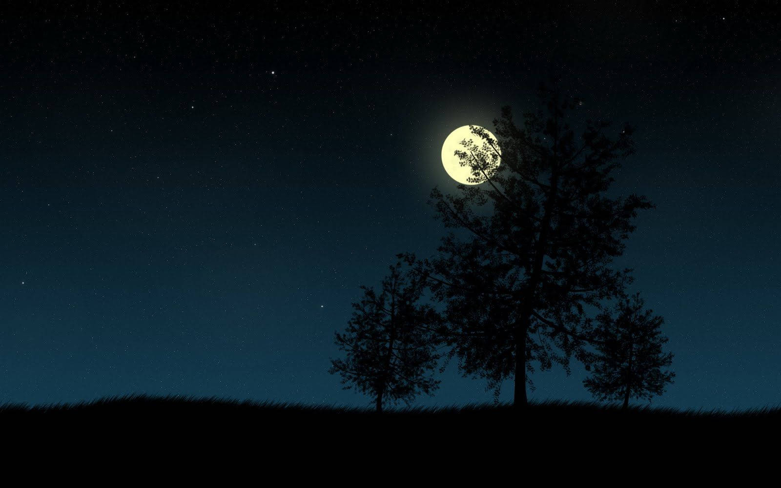 Dark Night With Tree And Moon Wallpaper