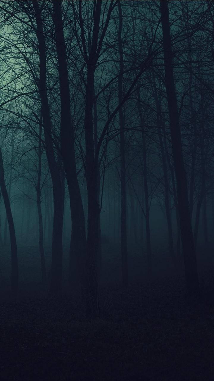Dark Phone Eerie Woods Wallpaper