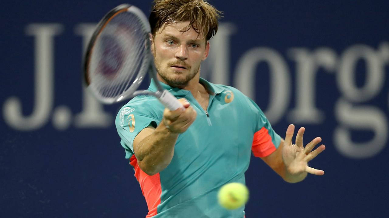 David Goffin Sweaty Playing Wallpaper