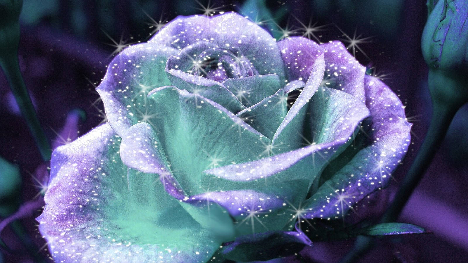 Dazzling Rose Flower Aesthetic Teal Wallpaper