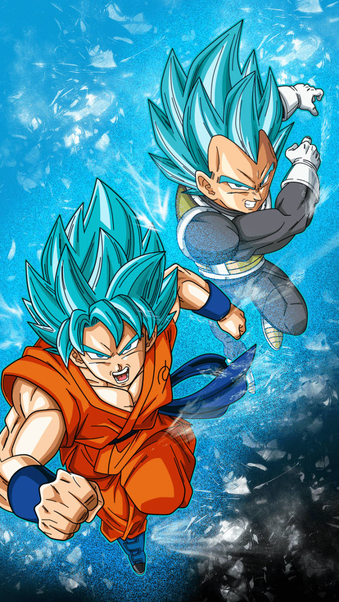 Dbz Goku And Vegeta Ssj Blue Wallpaper
