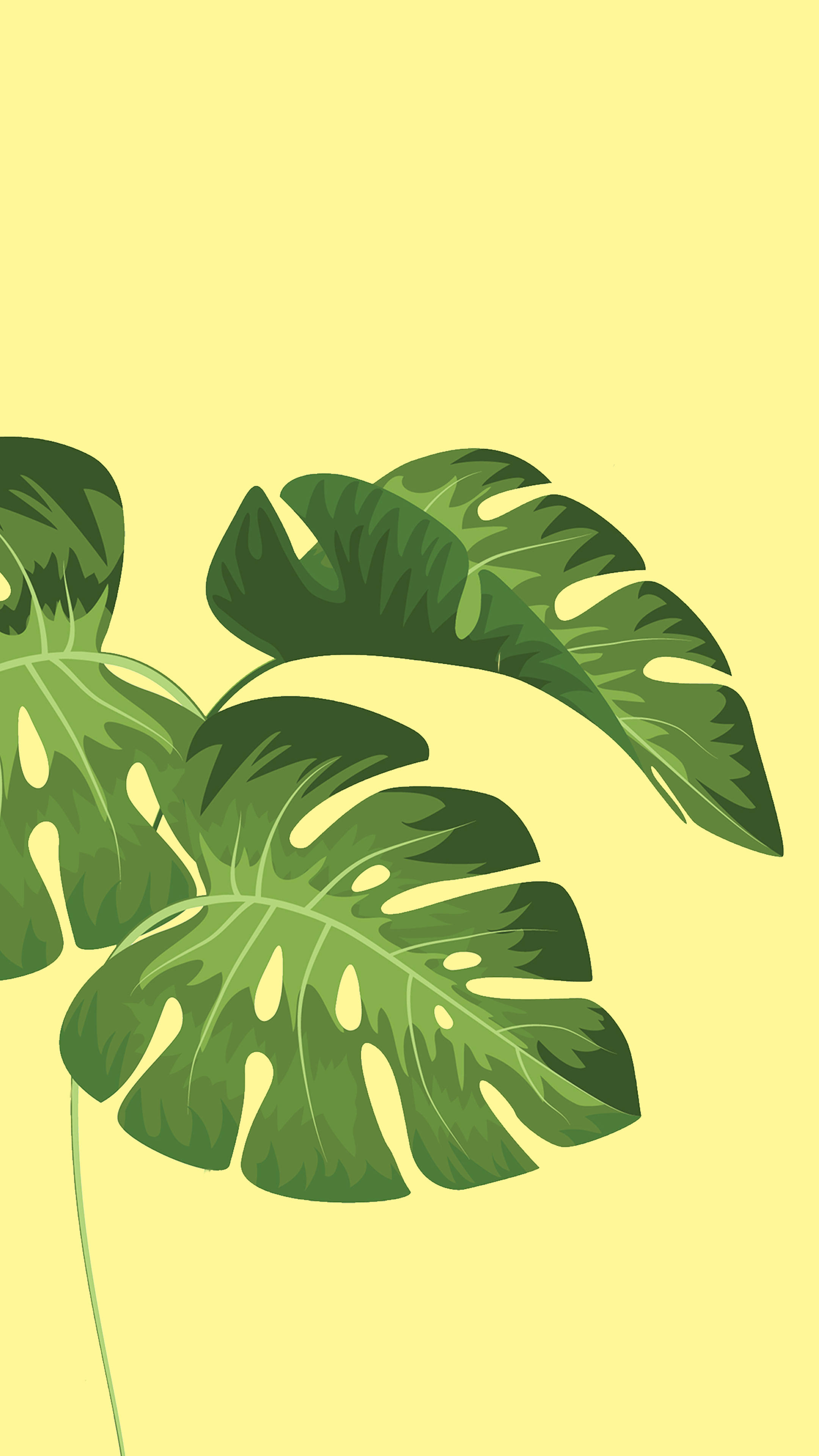 Deliciosa Minimalist Plant Leaf Illustration Wallpaper
