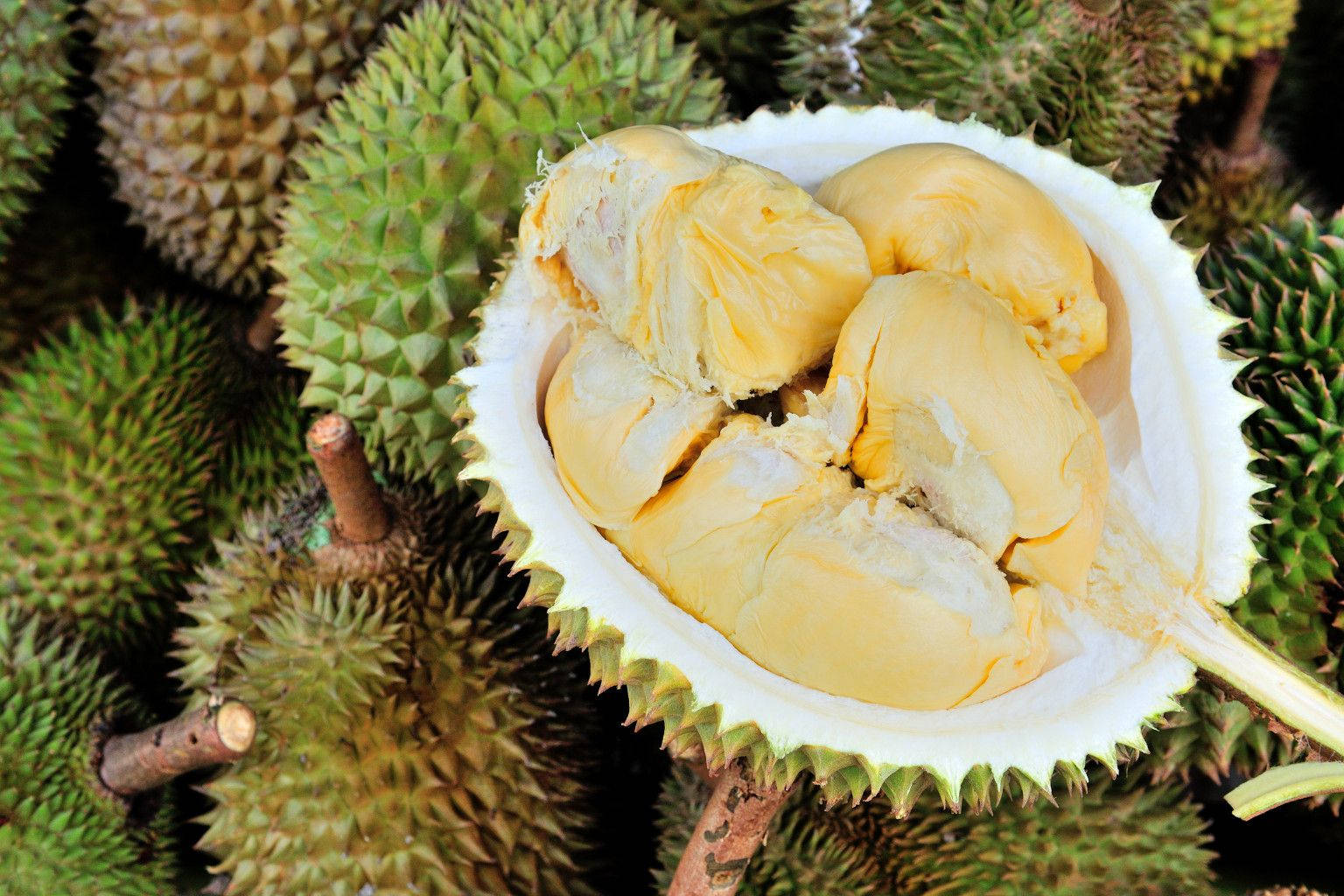 Delicious Duo - Opened And Unopened Durian Fruits Wallpaper