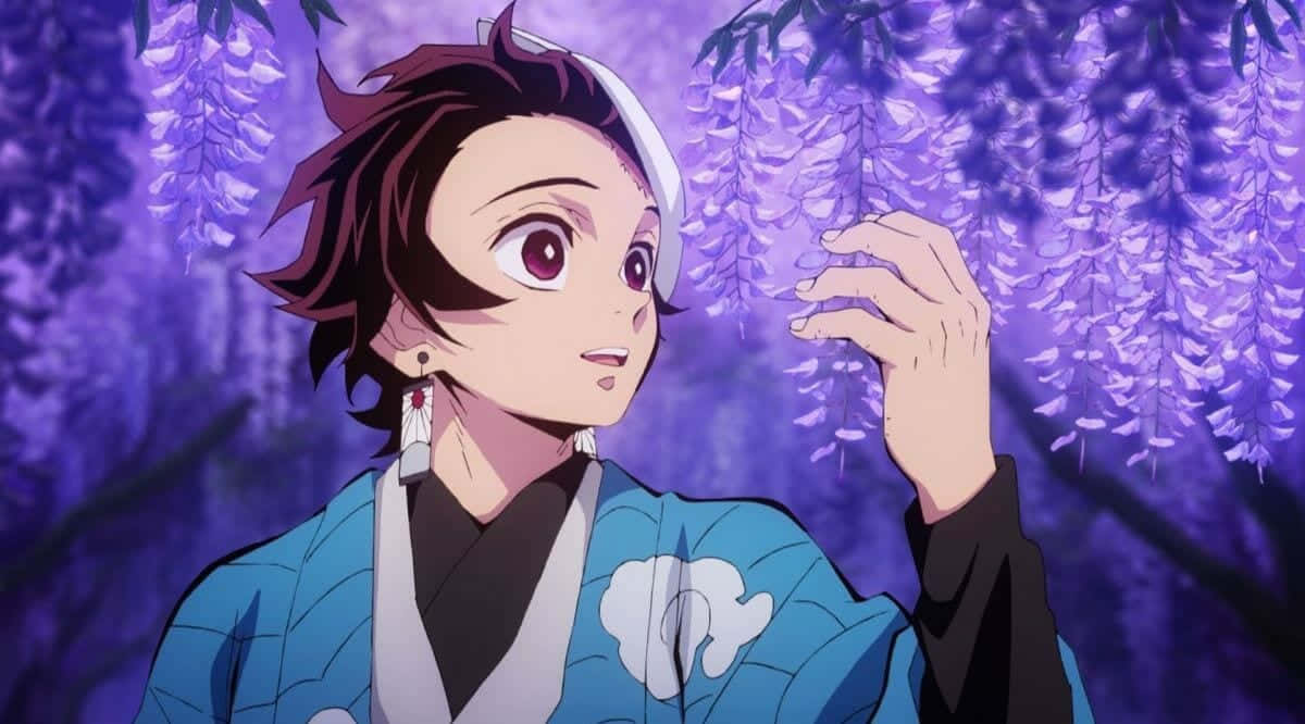 Demon Slayer Season 2 Tanjiro Cherry Blossoms Wallpaper