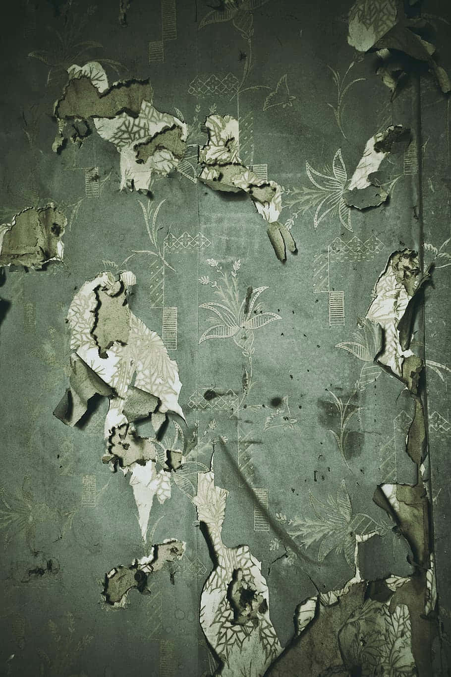 Desaturated Dark Green Torn Paper Wallpaper